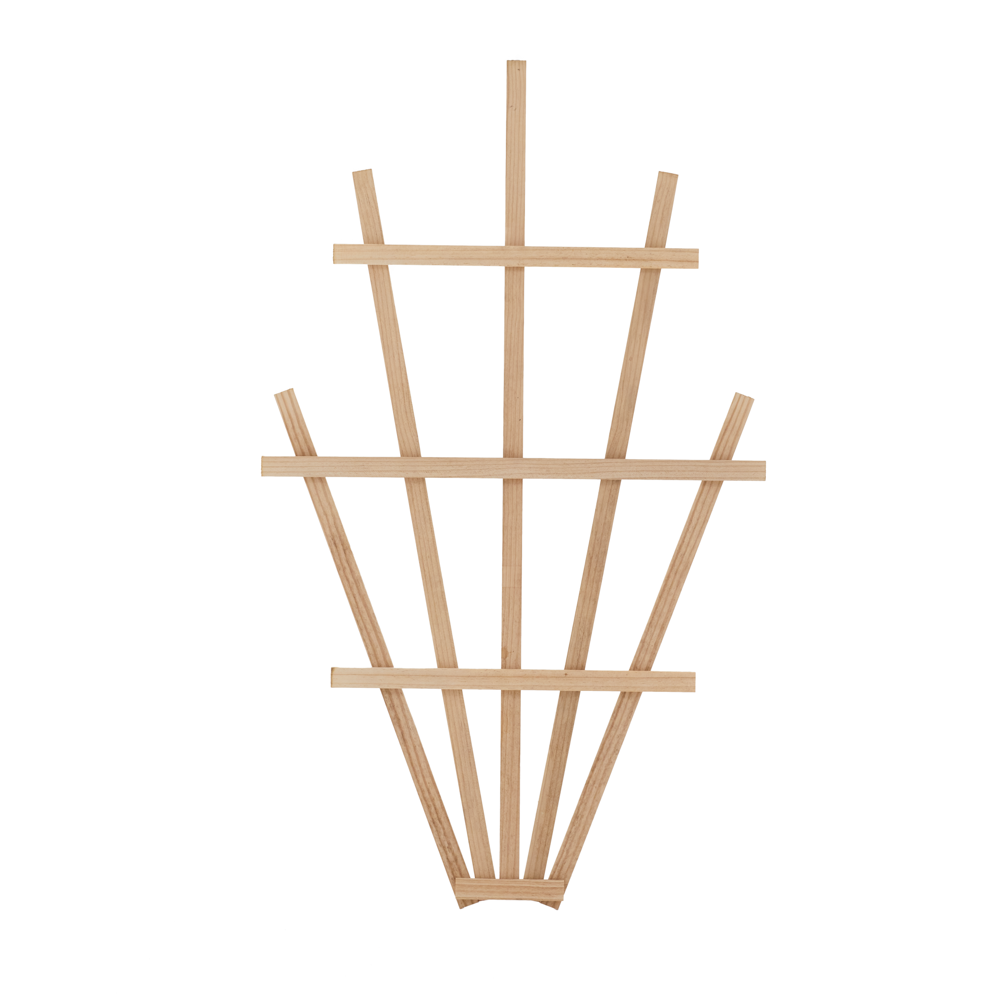 fan_trellis_genia fan_trellis_genia